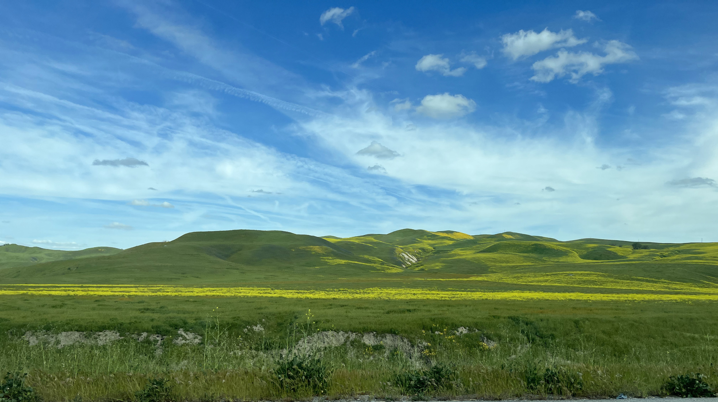Unnaturally Green