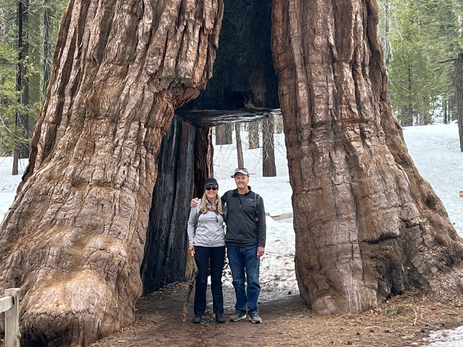 Drive Thru Sequoia