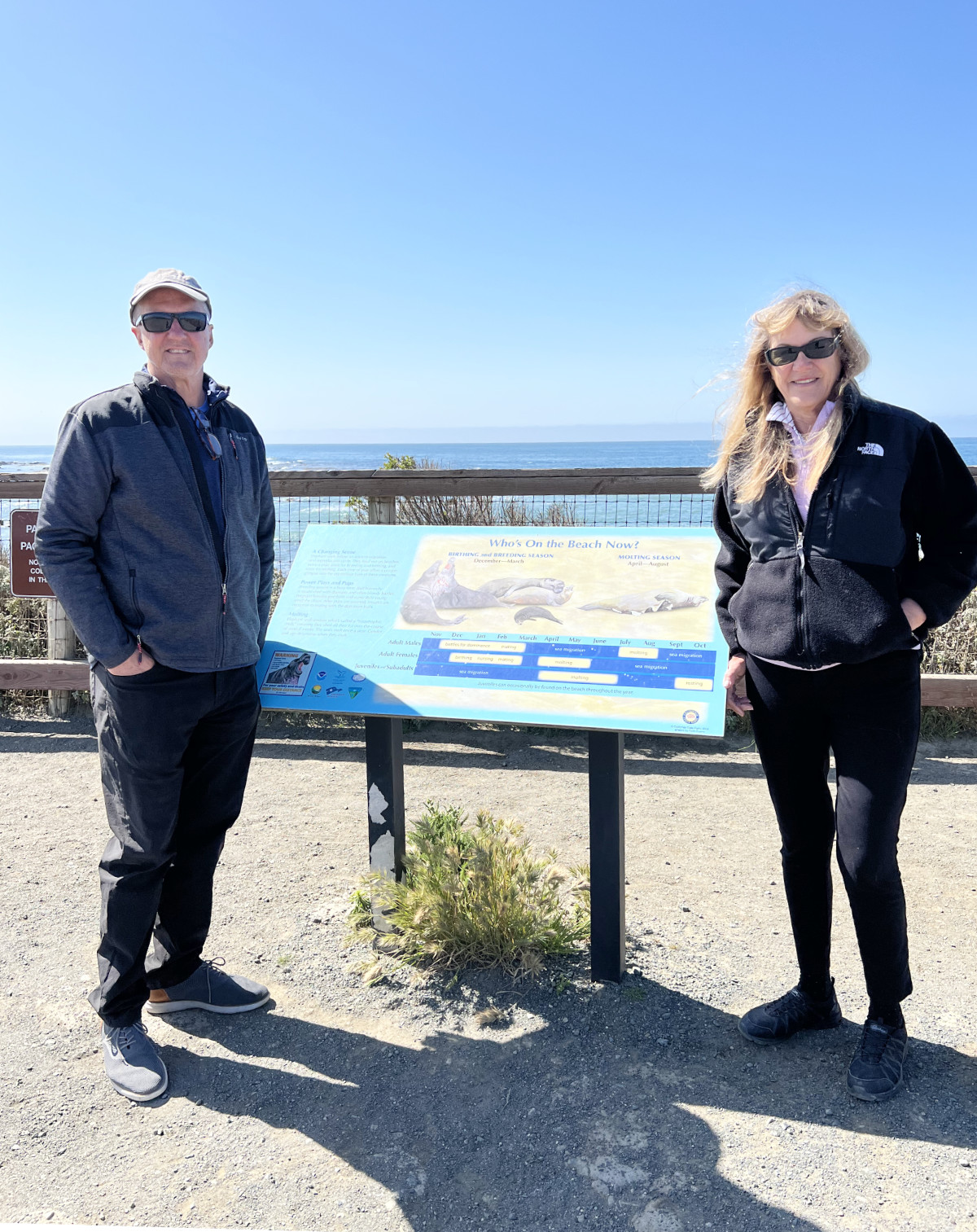 Elephant Seal Beach Sign