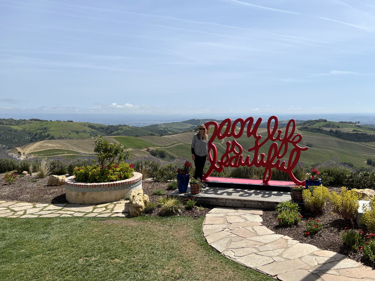 Daou vista