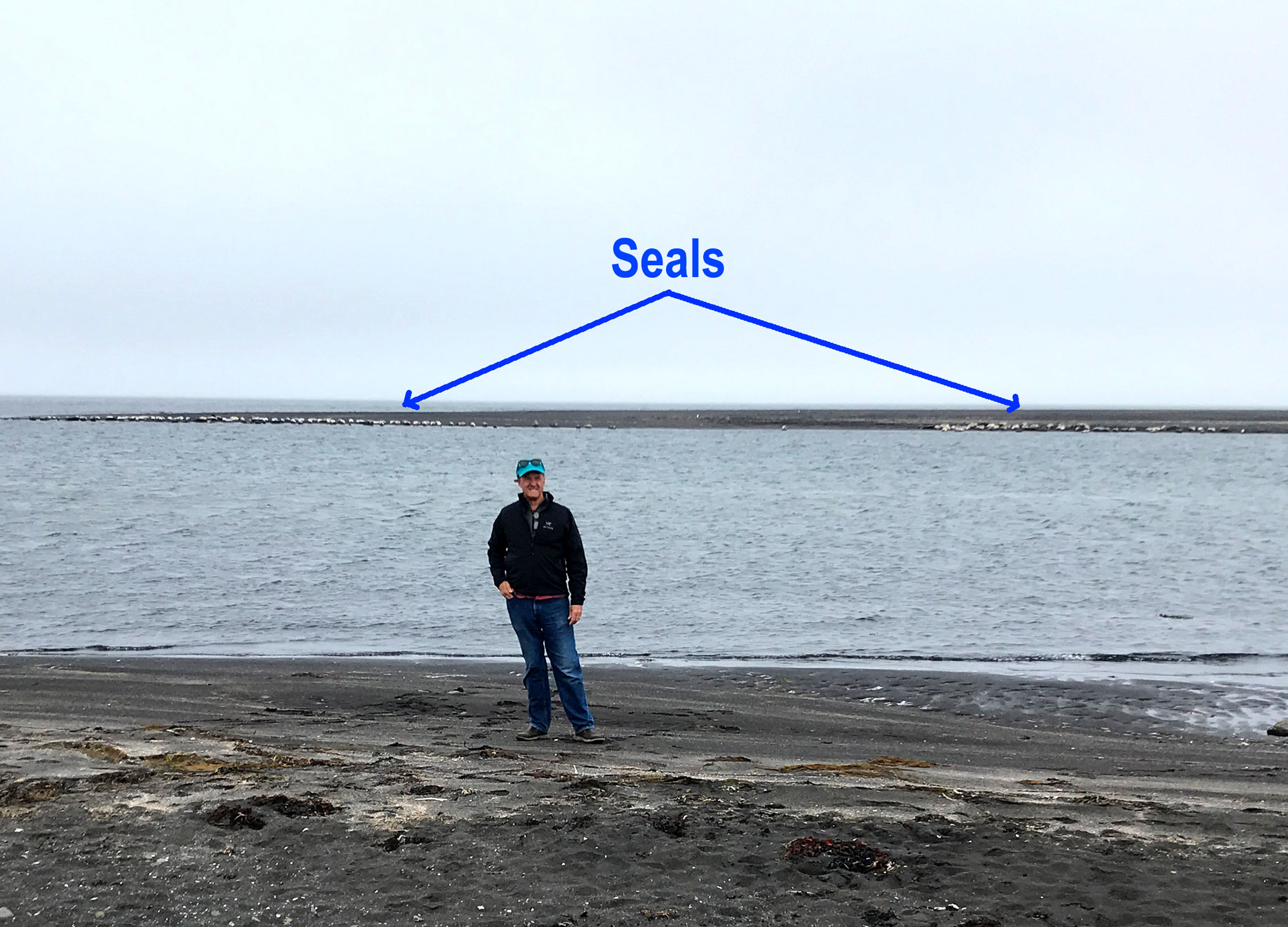 Mike with Seals