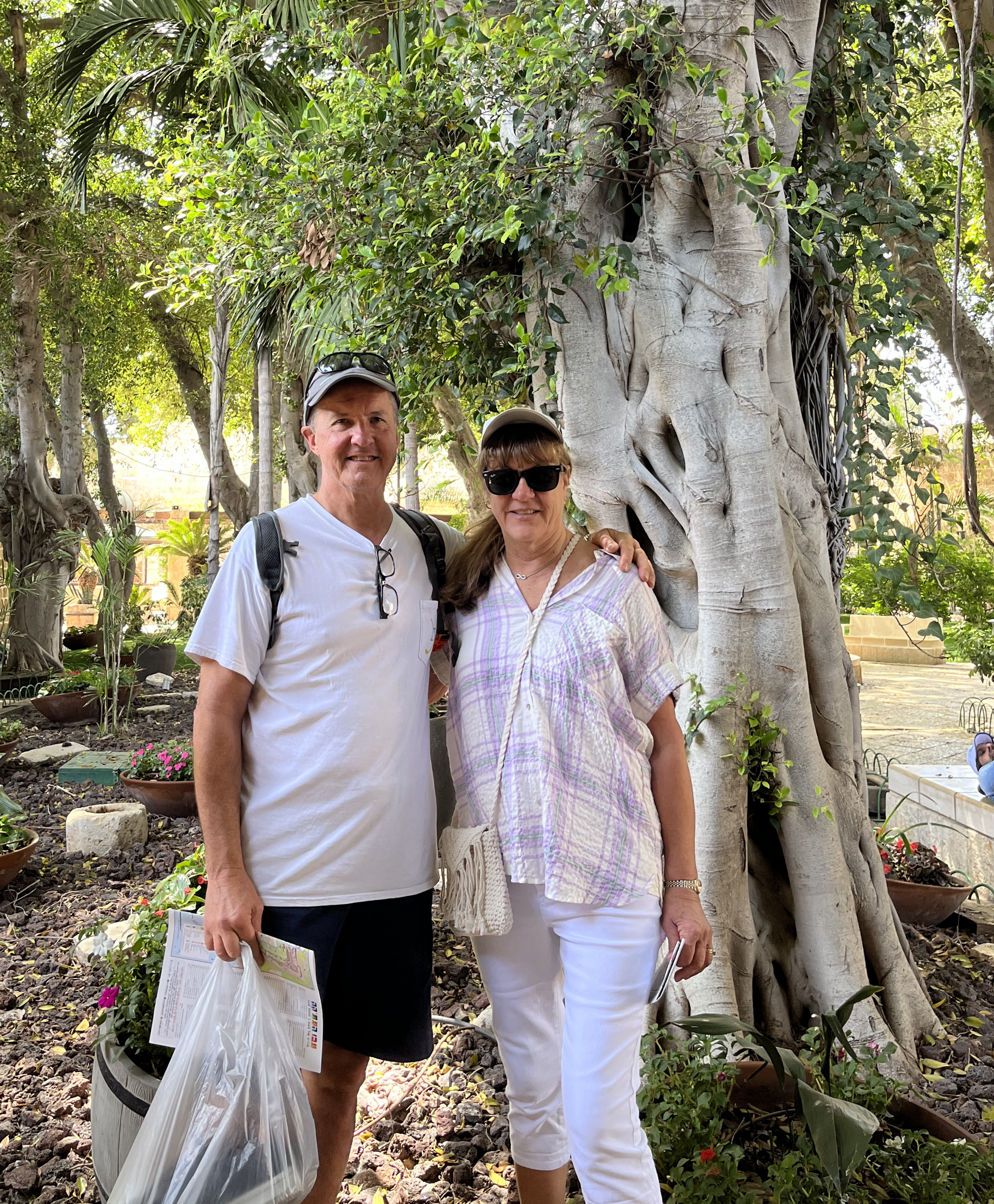 Akko Citadel Garden Tree
