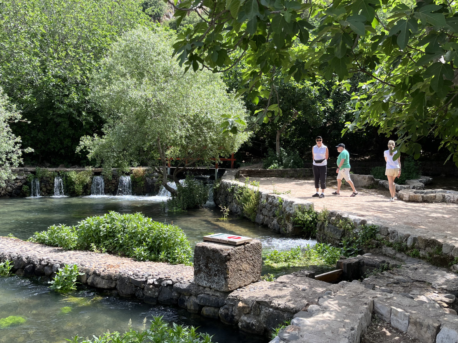 Upper section of Hike