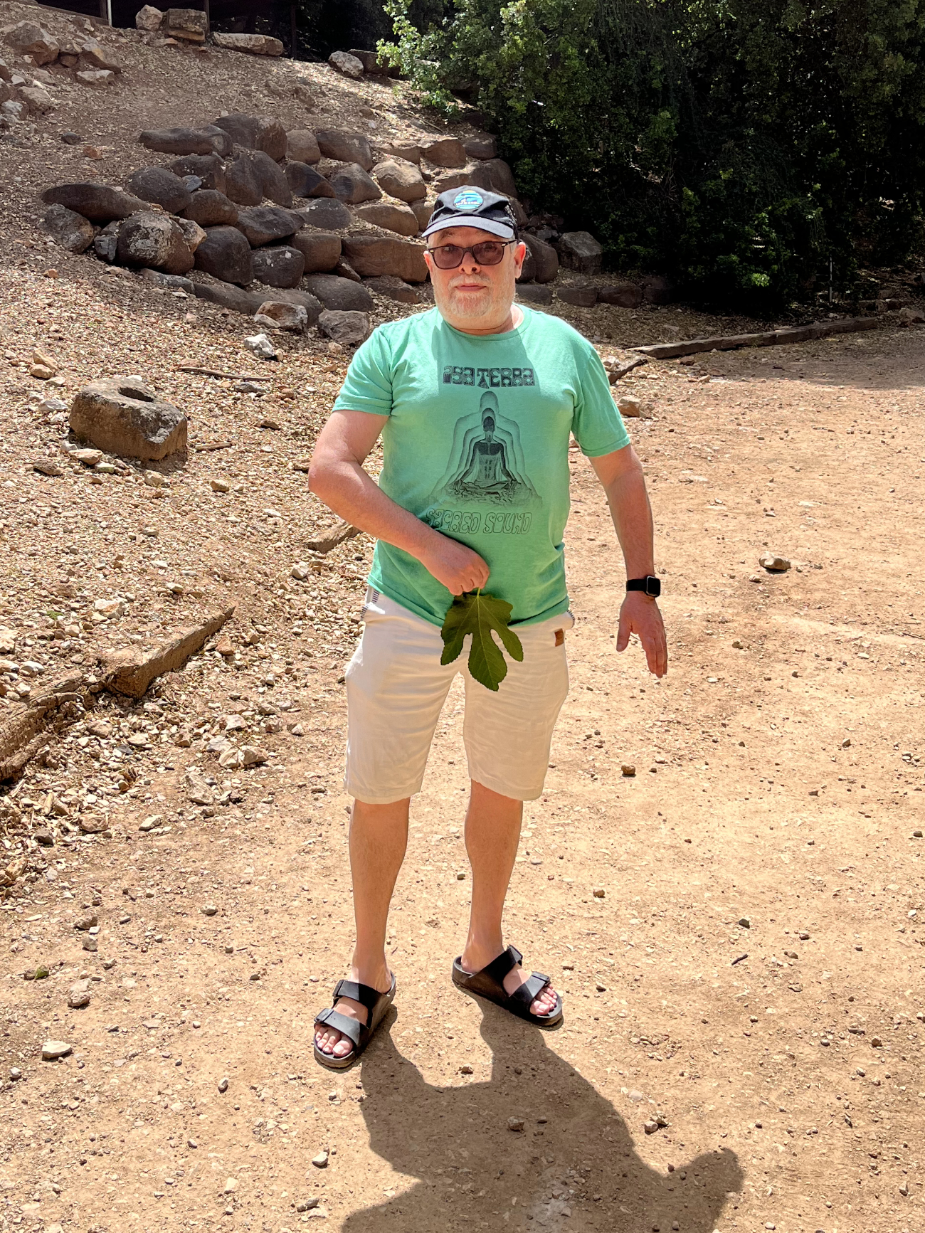 Fig Leaf