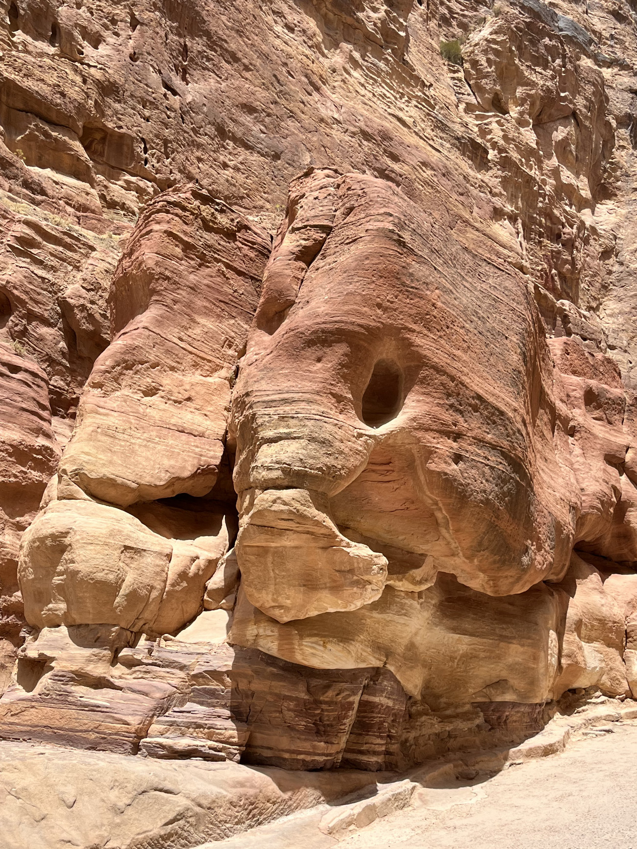 Treasury with camels