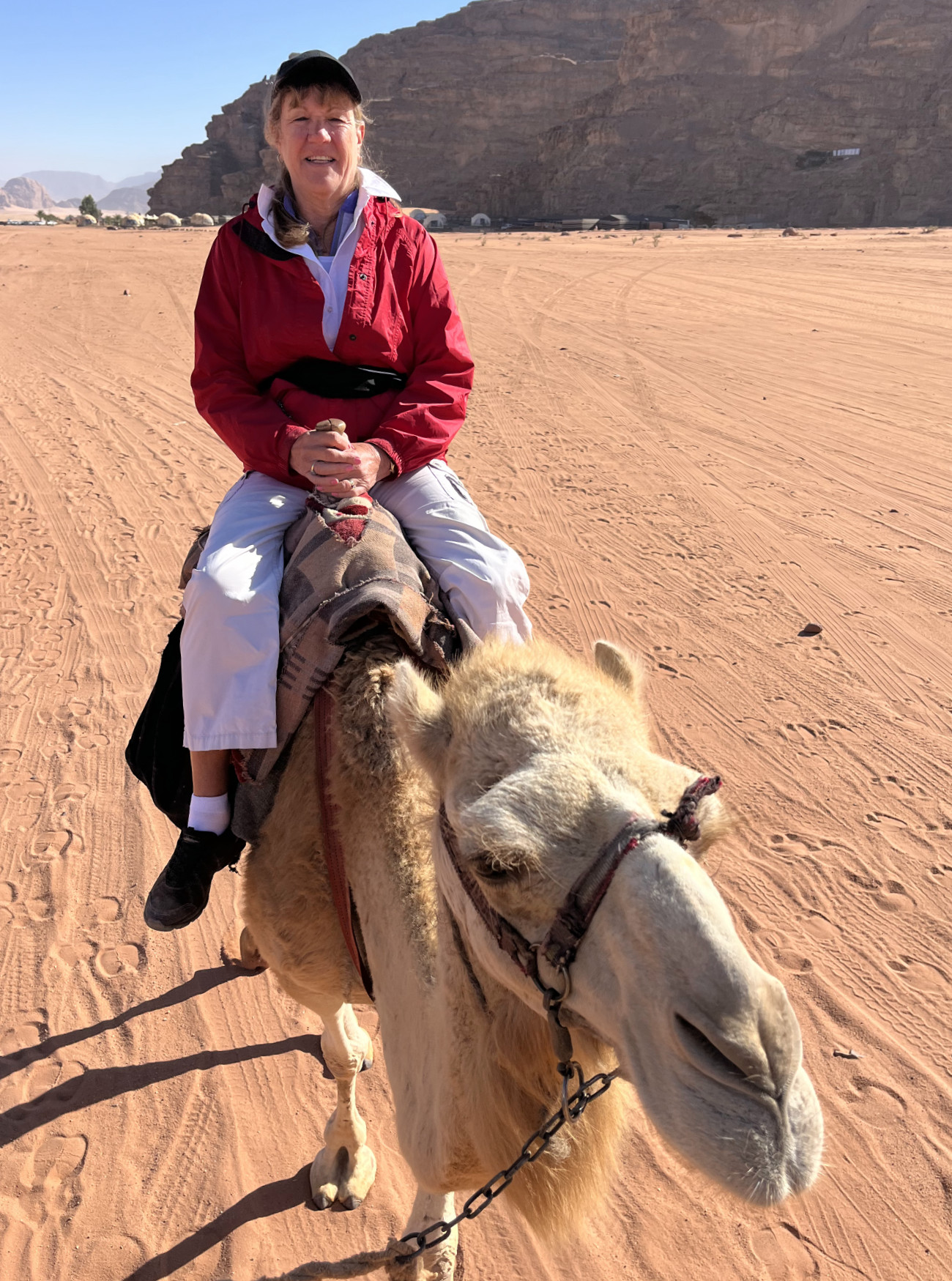 Kathy's Camel