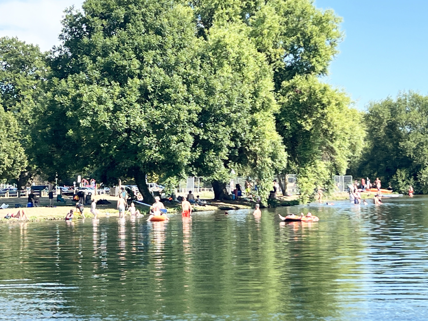 Swimmers